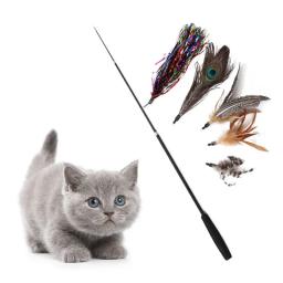 Telescópica três seções Pet Cat Stick, suprimentos engraçados sem cabeça de gato - Image 1