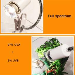 Réptil Lâmpada Lâmpada, Uvb 3.0, Turtle Basking, Uv Lâmpadas, Lâmpada de aquecimento, Anfíbios, Lagartos, Controlador de temperatura, Drop Shipping - Image 6