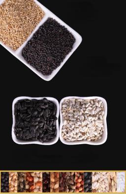 Alimento Natural Inteligente para Papagaio, Mistura Premium de Sementes, Boa Pena de Abeto, 0,5 kg - Image 5