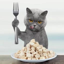 Comida De Gato Congelar Grânulos De Frango Seco, Pet Dry Food Supplies, Rico em Nutrição - Image 3