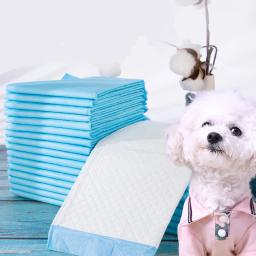 Super Absorvente Pet Fralda, Almofadas de urina grossa para cães, Fralda descartável de urina rápida, Fraldas para cães e gatos, Desodorante Pet Supplies - Image 6
