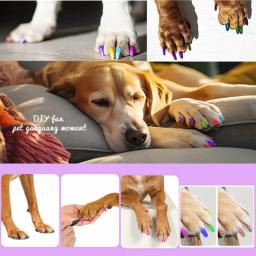 Canetas para pintura unhas gato, 12 cores brilhantes, canetas esmalte para unhas animais estimação, kits - Image 2