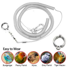 Pássaro pé corrente papagaio anti-voando corda de tração pássaro pés pulseira liga pé anel pet pássaro voando viagem treinamento trela - Image 1