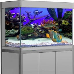 PVC Fish Tank Decoração Cartaz, Lado Duplo, 3D Fundo para Aquário, Oceano Plantas, Paisagem, Pintura Adesivo, Decoração Ornamento - Image 3