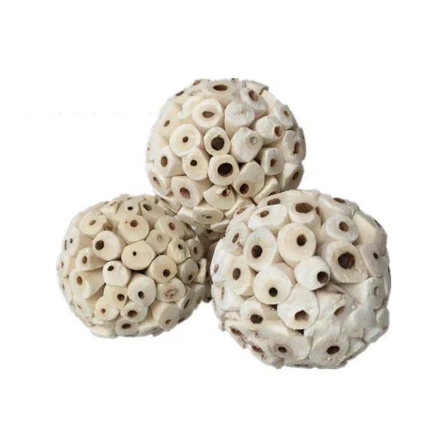 Conjunto com 6 Bolas de Sola Natural para Mastigação e Forrageamento de Papagaios, Coelhos, Chinchilas, Hamsters e Porquinhos da Índia