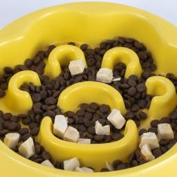 Antichocking cerâmica Pet Bowl, Puppy Food Plate, Messfree Bowl, Alimentação seca de alimentos, Rega Suprimentos - Image 1