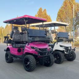 2/4/6/8 assentos caça carrinho de golfe rua legal elétrico fora da estrada carrinhos de golfe carro buggy scooter de golfe gocart - Image 5