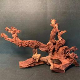 Ornamento Grande De Driftwood De Coral Natural, Ornamentos De Tanque De Peixes, Madeira De Aquário Grande - Image 5