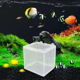 Juvenil-Rede De Separação De Peixes, Criação De Peixes, Caixa De Isolamento, Criador De Aquário, Alimentador Para Casa, Incubação Fry com Ventosas - Image 5