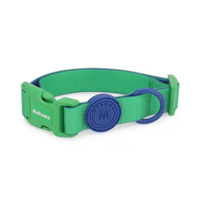 Coleira pet ajustável e impermeável em cores vibrantes para cães e gatos