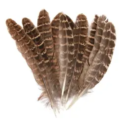 Pena De Pavão Natural Para Artesanato, Penas De Avestruz, Penas De Faisão Para Fazer Jóias, Ornamentos De Carnaval, Decoração Plumas - Image 4