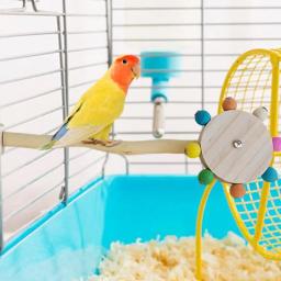 Natural Wooden Bird Perch Stand Toy, Stand Toy para Parrot, Play Gym, Rotate Fun Toy, Acessório de gaiola para periquito Budgie - Image 4