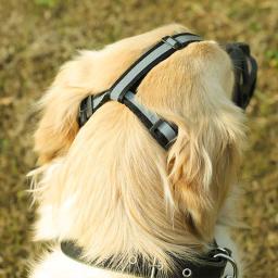 Focinho Do Cão Ajustável Silicone Macio Malha Respirável Forte Cesta para Small Medium Large Dog Mouth Mash Pet Acessórios de Treinamento - Image 3