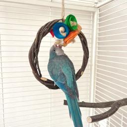 Bird Rope Swing Bark Textura Stand, Poleiro Birdcage Acessórios, Swing para Papagaios, Budgie Stress Relief - Image 4