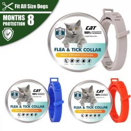 38m Ajustável Pet Collar Cat Dog AntiFlea Collar Anti Flea Tick Mite Louse Collar Pet Protect Repel Colar de borracha Pet Supply - Image 6
