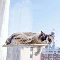 Gato Ninho Suspenso com Super Ventosa, Cama de Vidro Windowsill, Pet Supplies, Balanço, Sol Pode Ser Removido e Lavado Colchão - Image 1