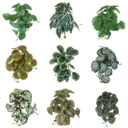 Terrário artificial planta para répteis anfíbio para tanque pet habitat decorações folhas tropicais realistas folha de plástico rattan - Image 1