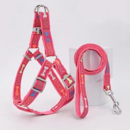 Conjunto de arnês de cão osso, para uso interior e exterior, um conjunto - Image 4