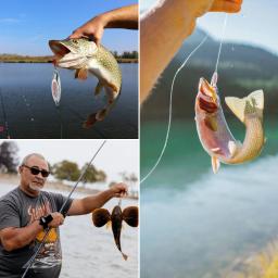 Goture-isca de pesca de longa distância, truta, robalo, tipo de peixe, lúcio, salmão, água salgada e água doce - Image 6