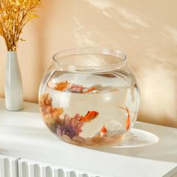 Vidro de alta transparência para peixes, aquário pequeno, peixes ornamentais e répteis, boa vista - Image 2