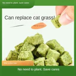 Cat Grass Freeze Dried Pellets, Semeado e Nu, com Depilação Bolas, Instant Cat Snacks - Image 2