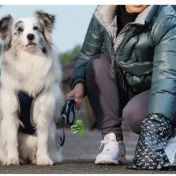 Portable Dog Poop Bags Dispenser, Trash Sack Case, caixa de armazenamento de lixo ao ar livre para gato, Puppy Pet Waste Bag Holder Supplies - Image 5