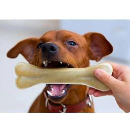 Durável cão mastigar brinquedos, Ossos do couro, Varas dentais, Filhote de cachorro trata suprimentos, limpeza dos dentes, lanches saudáveis, pequeno, médio, cão grande - Image 6