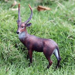 Simulação Animais selvagens Figuras de ação, Anta malaia, Ouriço, Waterbuck, Cassoar, Lêmure rufado, Rena, Aves domésticas, Coelho, Brinquedo burro - Image 2