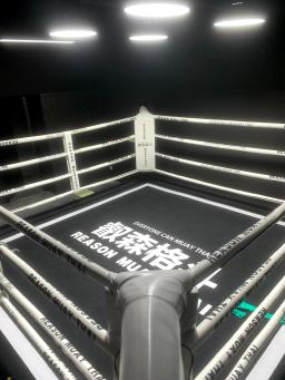 Anel De Boxe De Chão, Mesa Sanda, Mesa De Luta, Corda Exterior, Personalização Da Pele, Competição De MMA - Image 1