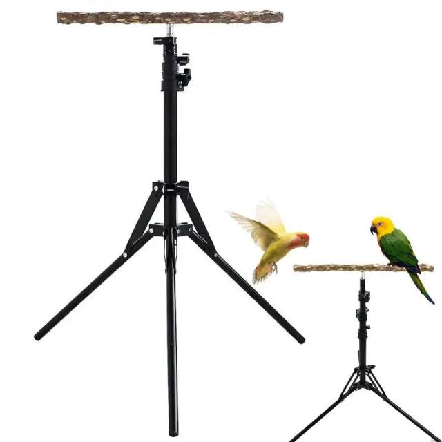 Suporte de Madeira Ajustável para Papagaios e Lovebirds com Poleiro para Pássaros