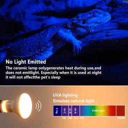 Lâmpadas para Répteis com Controlador de Temperatura, Lâmpadas UVA, Aquecedor de Tartarugas, Anfíbios, Lagartos, Pet, 220V, 75W - Image 5