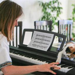 Suporte de música compatível com diversos modelos de yamaha, teclado musical, suporte para celular com 4 prendedores musicais - Image 5