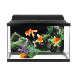 Fundo para Aquário 3d Adesivo Cartaz Aquário Aquário Acessórios do fundo Decoração Ocean Plant Aquascape Pintura - Image 3