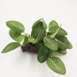Grama artificial submersível para decoração de aquário, planta plástica, ornamento de aquário, novo - Image 5