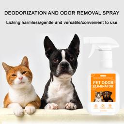 Pet Desodorante e Esterilização Suprimentos, Remoção de odor de urina para cães e gatos, Desodorante Interior, 1Pc - Image 2