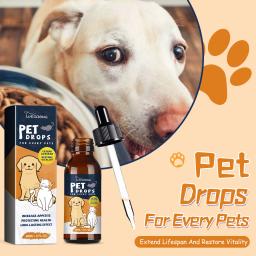 Pet Nutrição Suplemento para Digestão Saúde, Cuidados Gastroinários, Estômago Condicionado, Melhorar o Apetite, Dog Health Drop - Image 5
