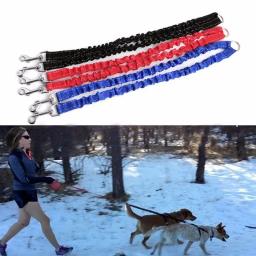 Elastic Extended Pet Leash Belt, Dog Leash Corda, 2 Way Couplers, treinamento ao ar livre, dois duplo, pequeno, médio, cães grandes, chumbo Coisas - Image 1