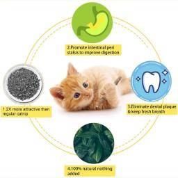 Dentes naturais Pet Moagem Creme Dental Stick, Kiwi Fruit Silver Vine, Cat Safe Stick, suprimentos de limpeza - Image 5