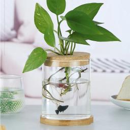 Garrafa De Vidro Com Rolha De Madeira, Micro Paisagem, Garrafa Ecológica, Vaso De Flor Redondo, Recipiente Hidropônico - Image 5