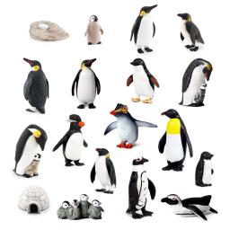 Ciclo de crescimento plástico realista pinguim estatuetas variedades de pinguins polar ártico figuras animais ovos de páscoa bolo toppers presente - Image 1