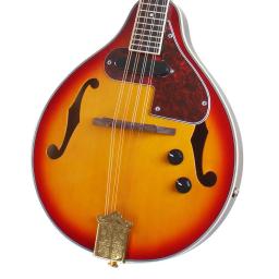 Guitarra elétrica de bandolim com afinador de saco e picaretas, jacarandá, instrumento musical para iniciantes e adultos, 8 cordas, estilo - Image 4