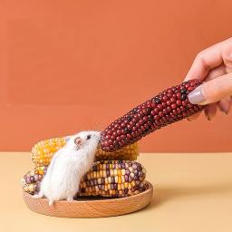 Tigela de alimentação de madeira natural para pequenos animais de estimação, tigela de comida redonda, anti-torneamento, paisagismo suprimentos para esquilo, ouriço, hamster - Image 2