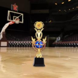 Prêmio Troféu Copa de fino acabamento delicado, prêmios vencedores, cerimônia de premiação, esportes, torneio, discurso e competição - Image 5