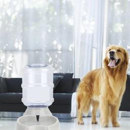 Alimentador automático do animal de estimação com grande capacidade, tigela para cão e gato, distribuidor de água, 3.8L - Image 5