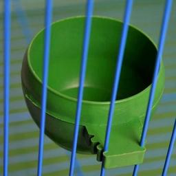 Mini Tigela De Comida E Água De Plástico para Papagaio, Alimentador Para Aves, Pombos Gaiola, Sand Cup, Acessório De Alimentação, Verde, 3 Pçs/set - Image 3