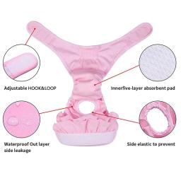 Lavável reutilizável pet calças fisiológicas, calcinha sanitária, fraldas para cães fêmeas, cão grande, médio e grande, Mascotas Suprimentos - Image 4