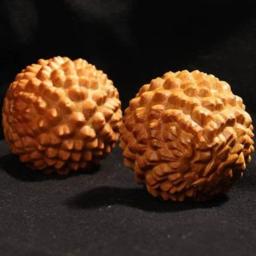 Primavera Grip Mão Massagem Bola, Primavera Grip Tratamento de Lesões do Pulso Masajeador, Durian Fitness Balls, 1Pc - Image 5