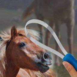 Cavalo aliciamento pente equestre escova raspador antiderrapante curry pente para gado animal todos os tipos de cães curry combo suor raspador - Image 6