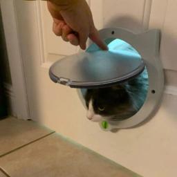 Porta redonda com fecho 4 vias para gato, janela plástico para animais estimação, porta segura com tampa, qualidade premium - Image 4