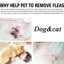 Pet Anti-Flea Tratamento Spray, Carrapatos Gotas para Cachorro e Gatinho, Ácaros do cão, Nova chegada, 8ml - Image 4